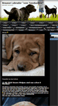 Mobile Screenshot of brauner-labrador.de