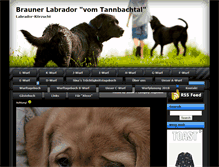Tablet Screenshot of brauner-labrador.de